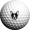 Boston Terrier - Golfdotz