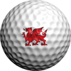 Welsh Flag - Golfdotz