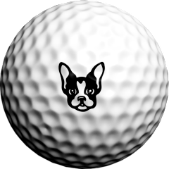 Boston Terrier - Golfdotz