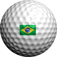 Brazil Flag - Golfdotz