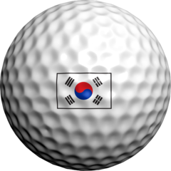 South Korean Flag - Golfdotz