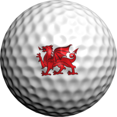 Welsh Flag - Golfdotz